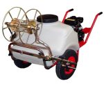 trolley trolley